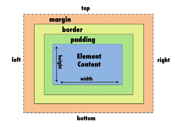 image of margin, border and padding